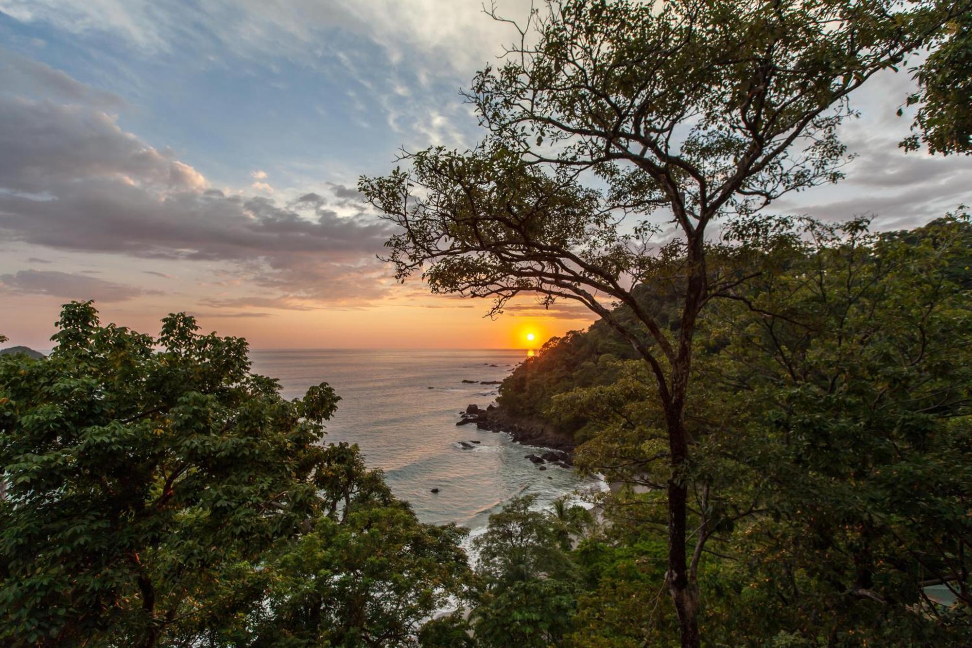 Arenas Del Mar Beachfront & Rainforest Resort Member Of The Cayuga Collection マヌエル・アントニオ エクステリア 写真