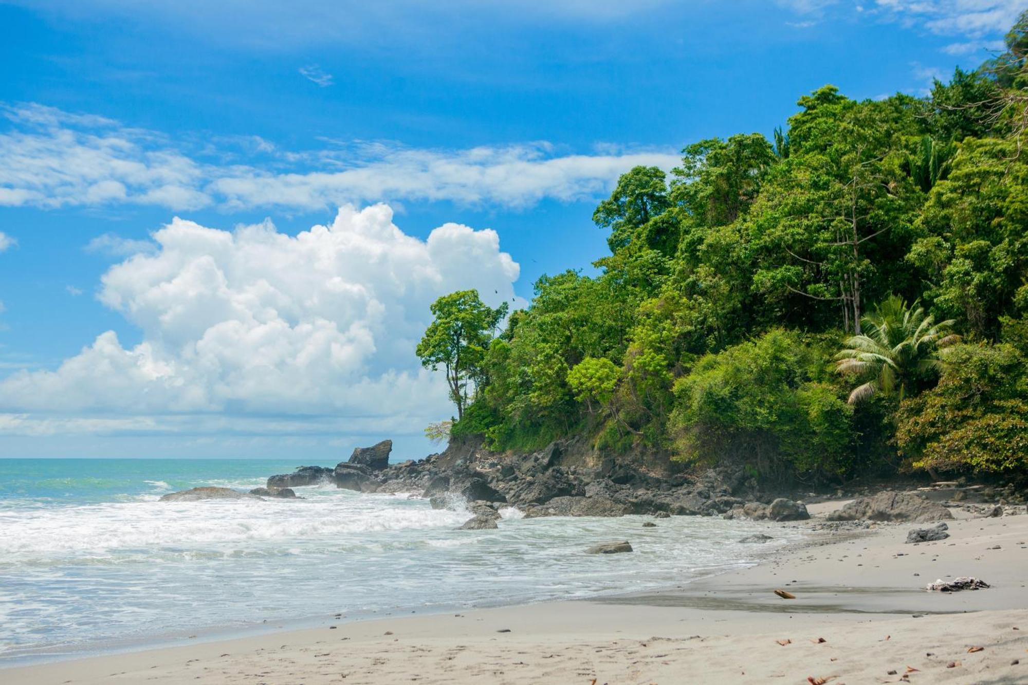Arenas Del Mar Beachfront & Rainforest Resort Member Of The Cayuga Collection マヌエル・アントニオ エクステリア 写真