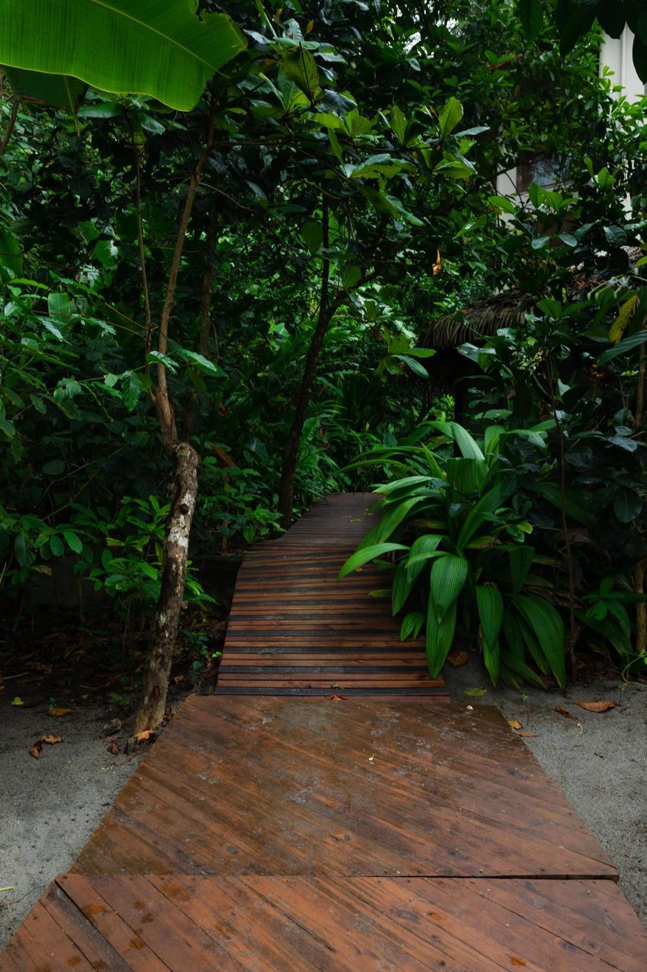 Arenas Del Mar Beachfront & Rainforest Resort Member Of The Cayuga Collection マヌエル・アントニオ エクステリア 写真