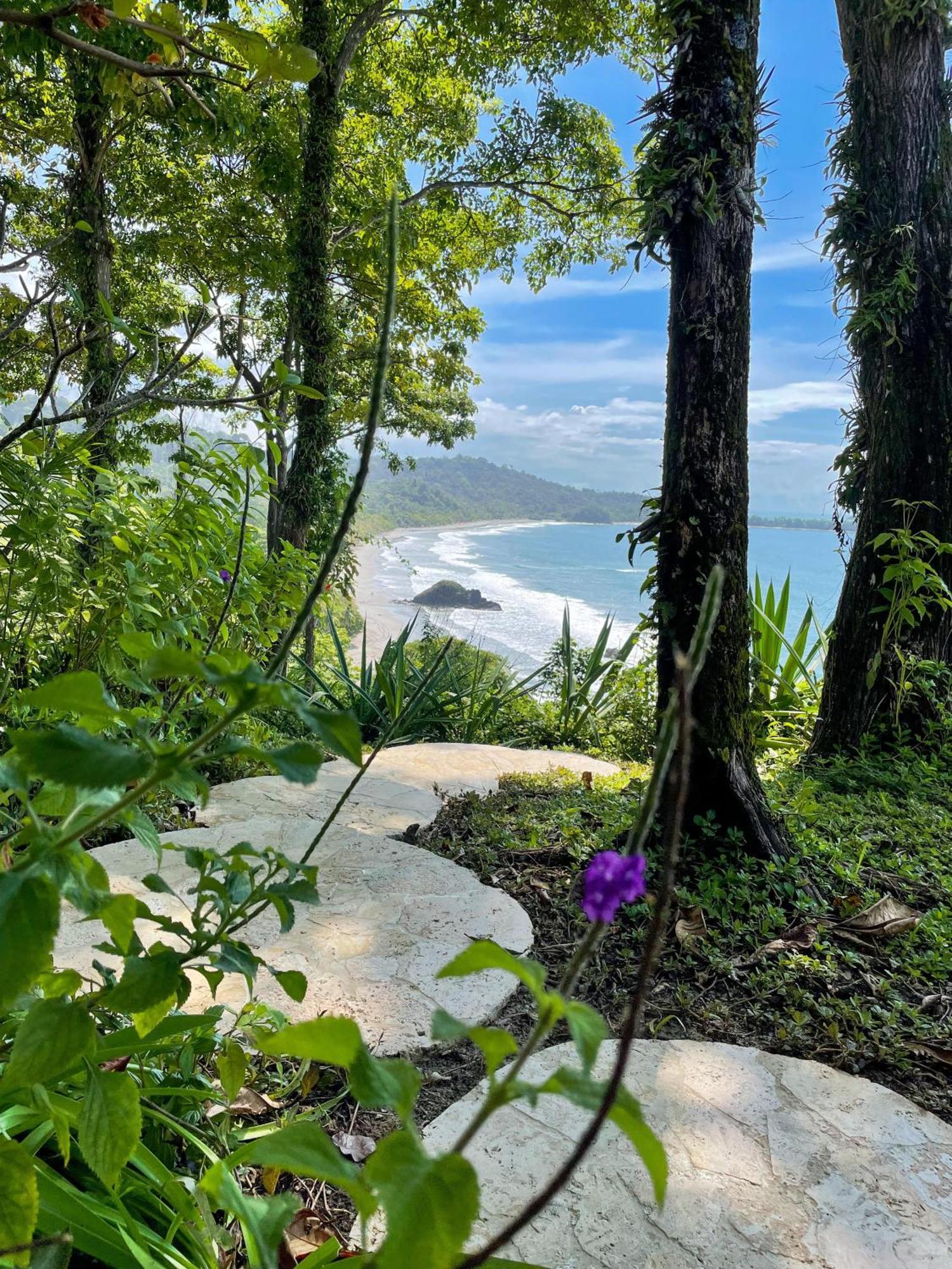 Arenas Del Mar Beachfront & Rainforest Resort Member Of The Cayuga Collection マヌエル・アントニオ エクステリア 写真